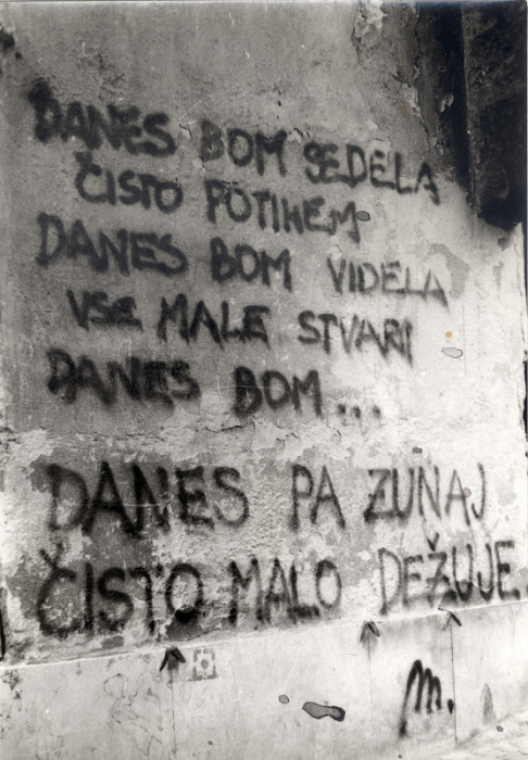 Academic Years - Grafitti in the old town of Ljubljana