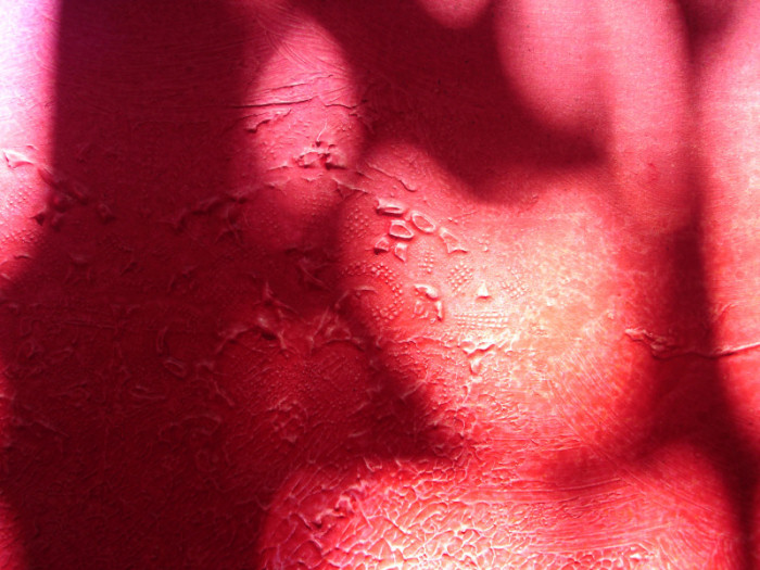 Fleeting Life - details - Red Shadows 1