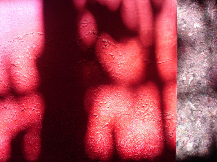 Fleeting Life - details - Red Shadows 3