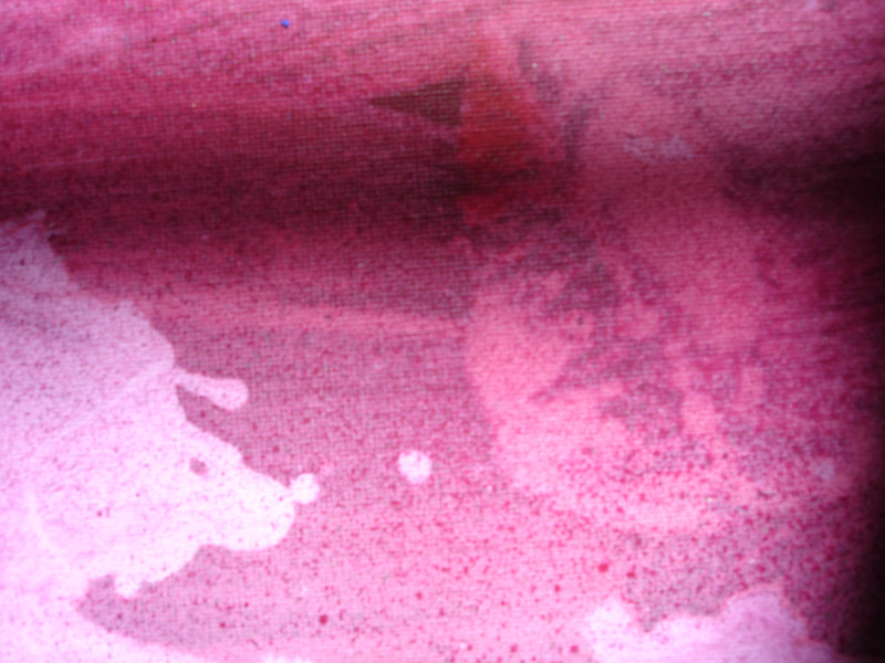 Fleeting Life - details - Video-clip Pink