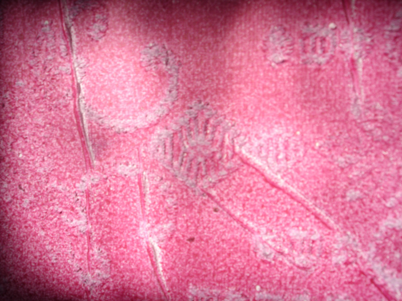 Fleeting Life - details - Women's Secret 2 : detail 3
