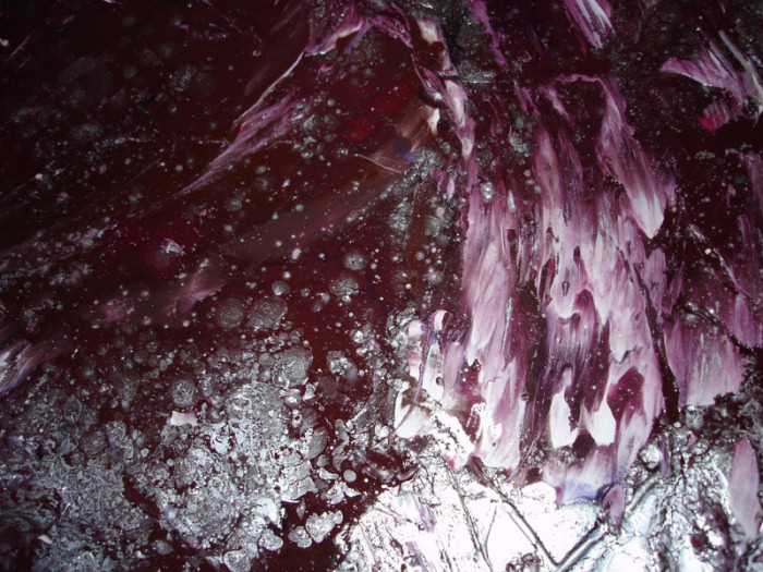 Fleeting Life - details - Cosmos 7